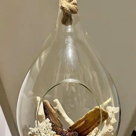 La Folie Des Remparts Carcassonne